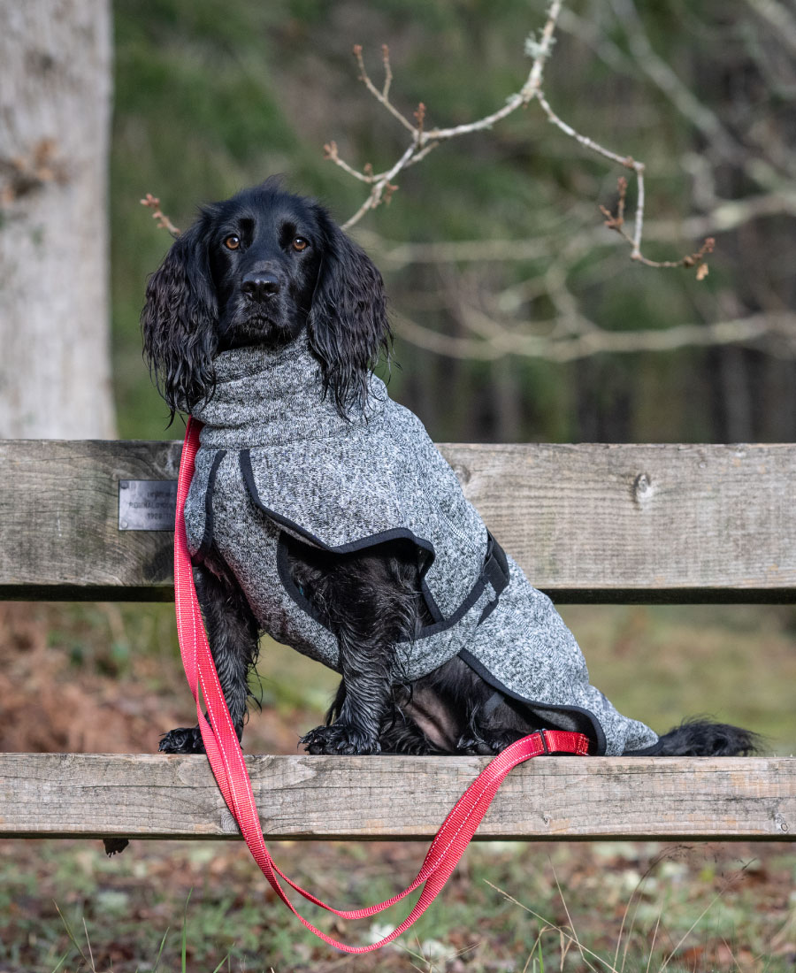 Rukka Pets Comfy Knit Jacket Forest