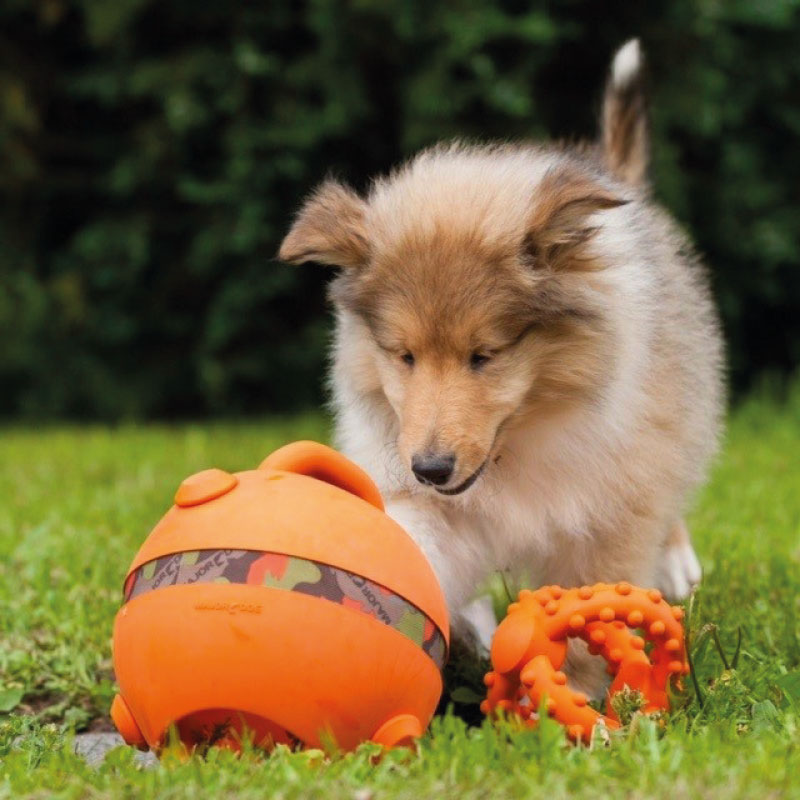 Quinmo-pic-categorie-speelgoed Quinmo-pic-categorie-speelgoed