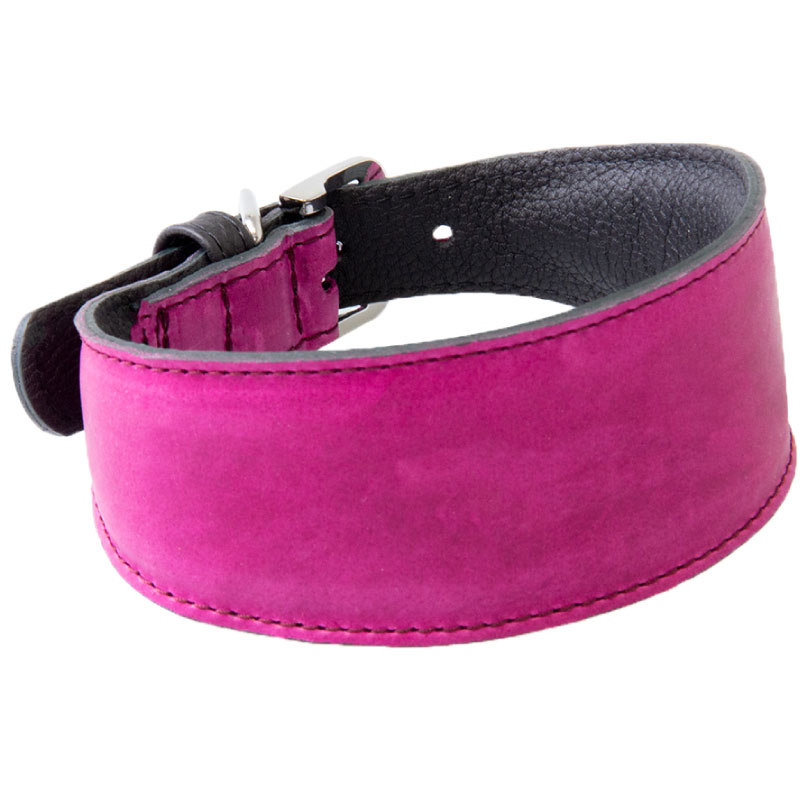 Das Lederband Vancouver Windhonden Halsband Paars / Zwart