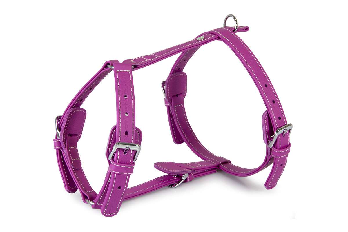 Das Lederband Tuig Barcelona, Rose-Violet
