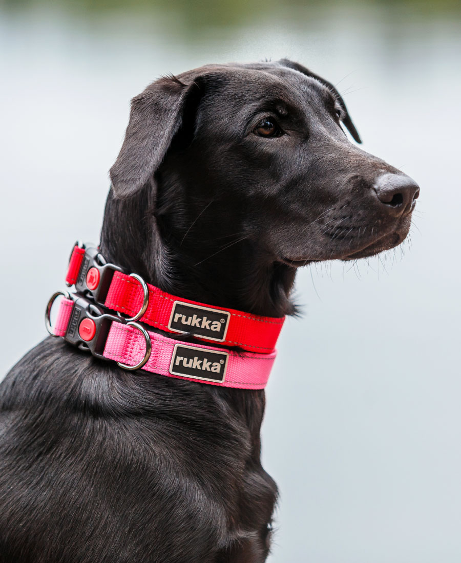 Rukka Pets Bliss Halsband Smoke