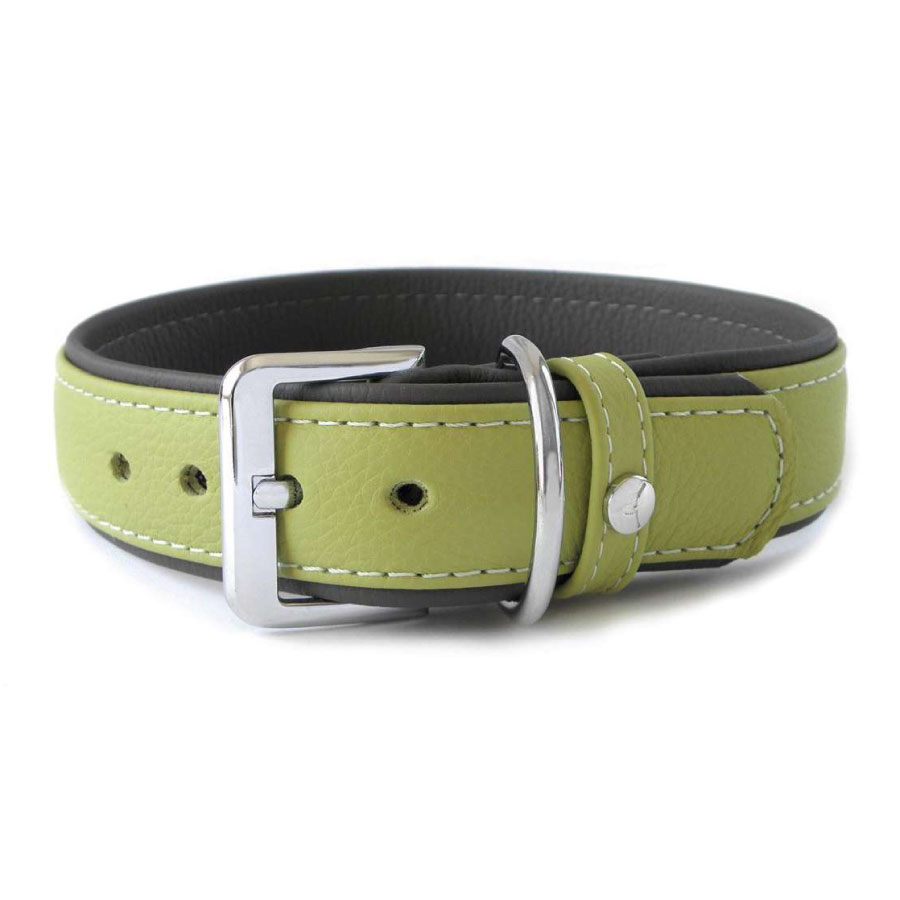 Das Lederband Amsterdam Halsband