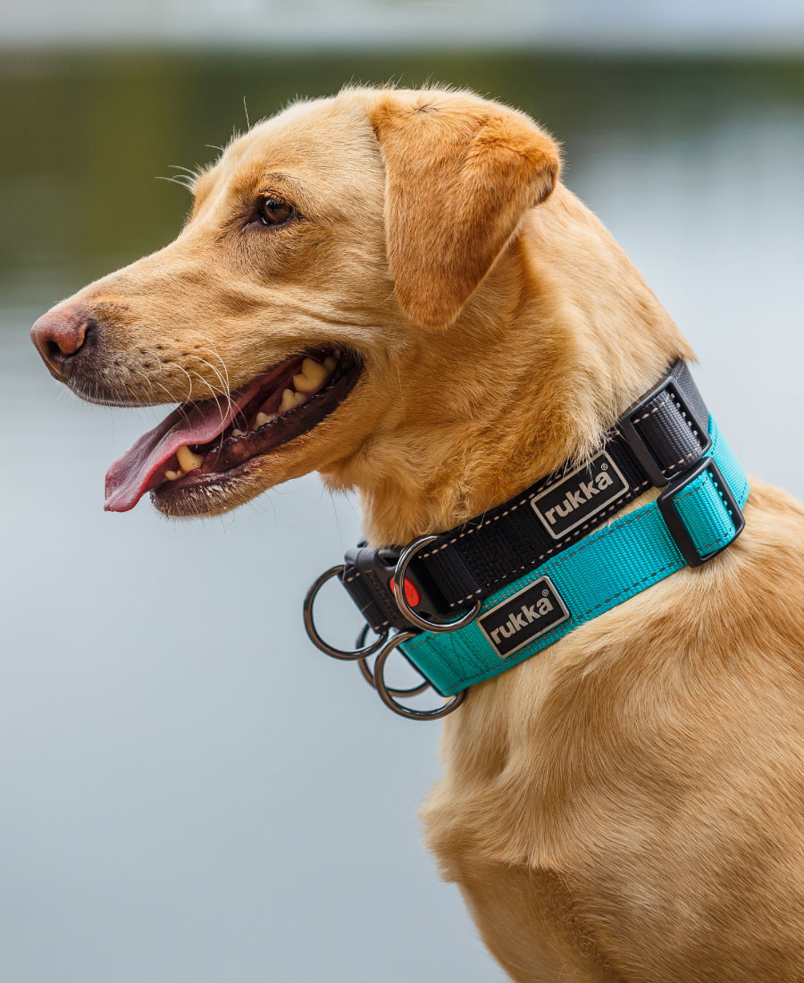 Rukka Pets Bliss Halsband Smoke