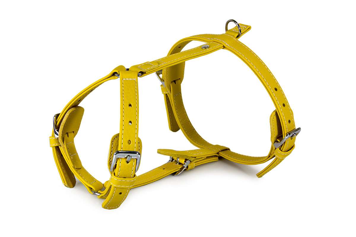 Das Lederband Tuig Barcelona, Vibrant-Yellow
