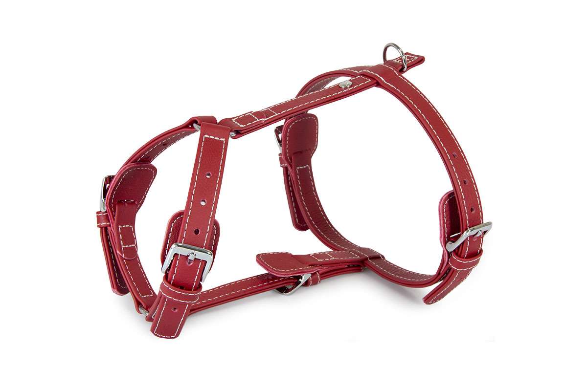 Das Lederband Tuig Barcelona, Indian-Red