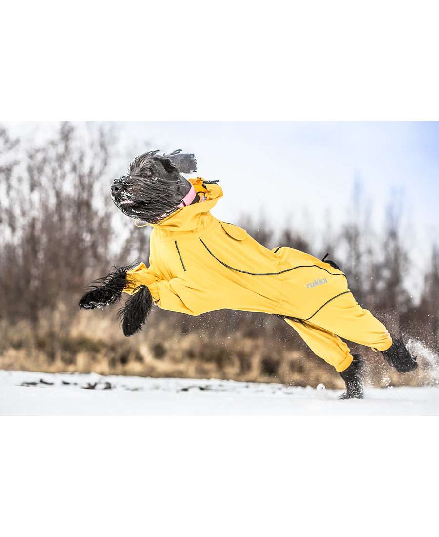 Rukka Pets Protect 2.0 Overall Zwart