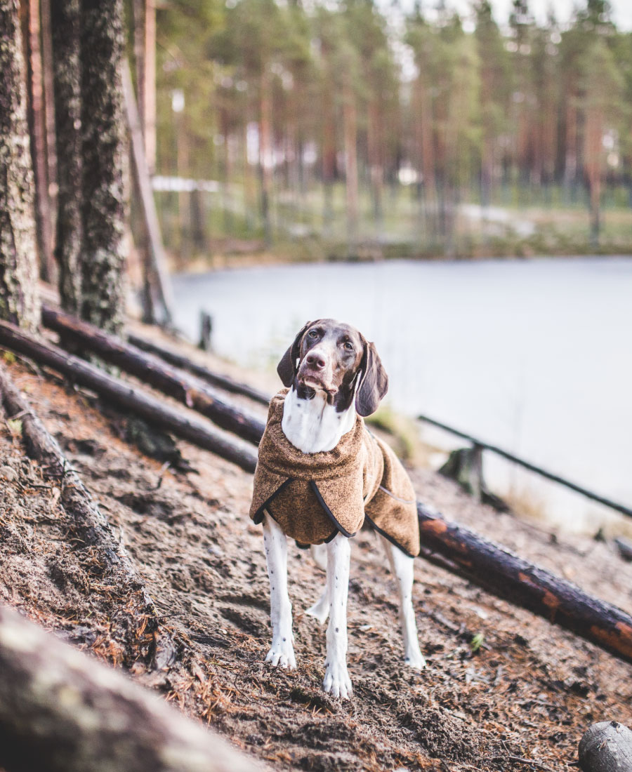 Rukka Pets Comfy Knit Jacket Forest
