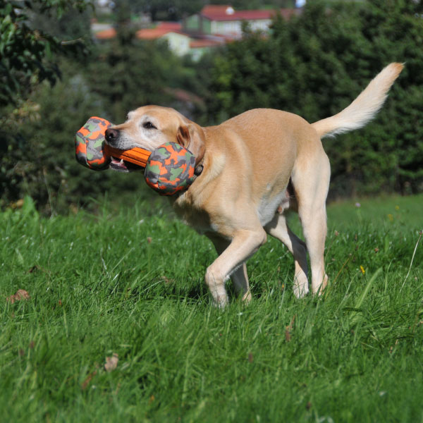 Major Dog Barbell Large