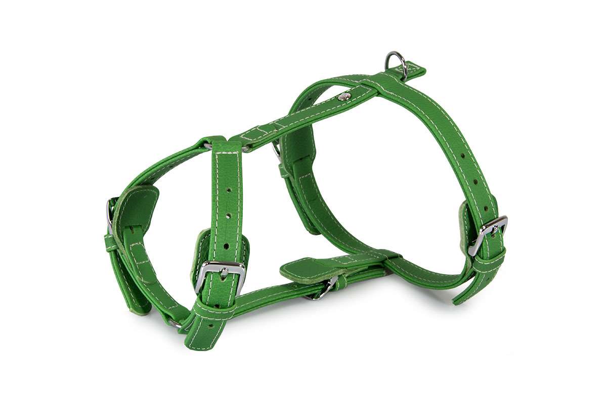 geschirr-barcelona-summer-green Das Lederband Tuig Barcelona Summer-Green