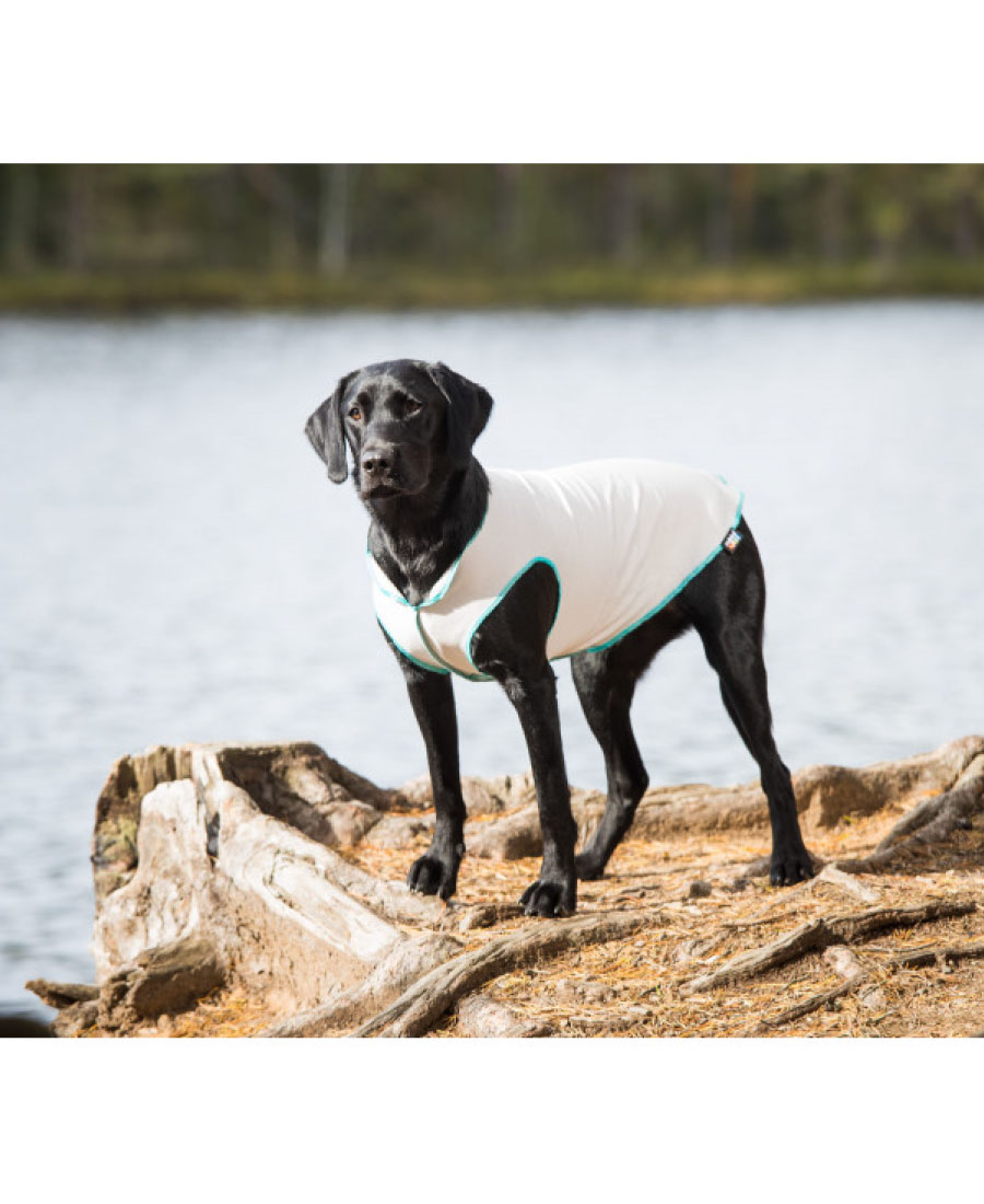 Rukka Pets Sunny UV Shirt Maat: L