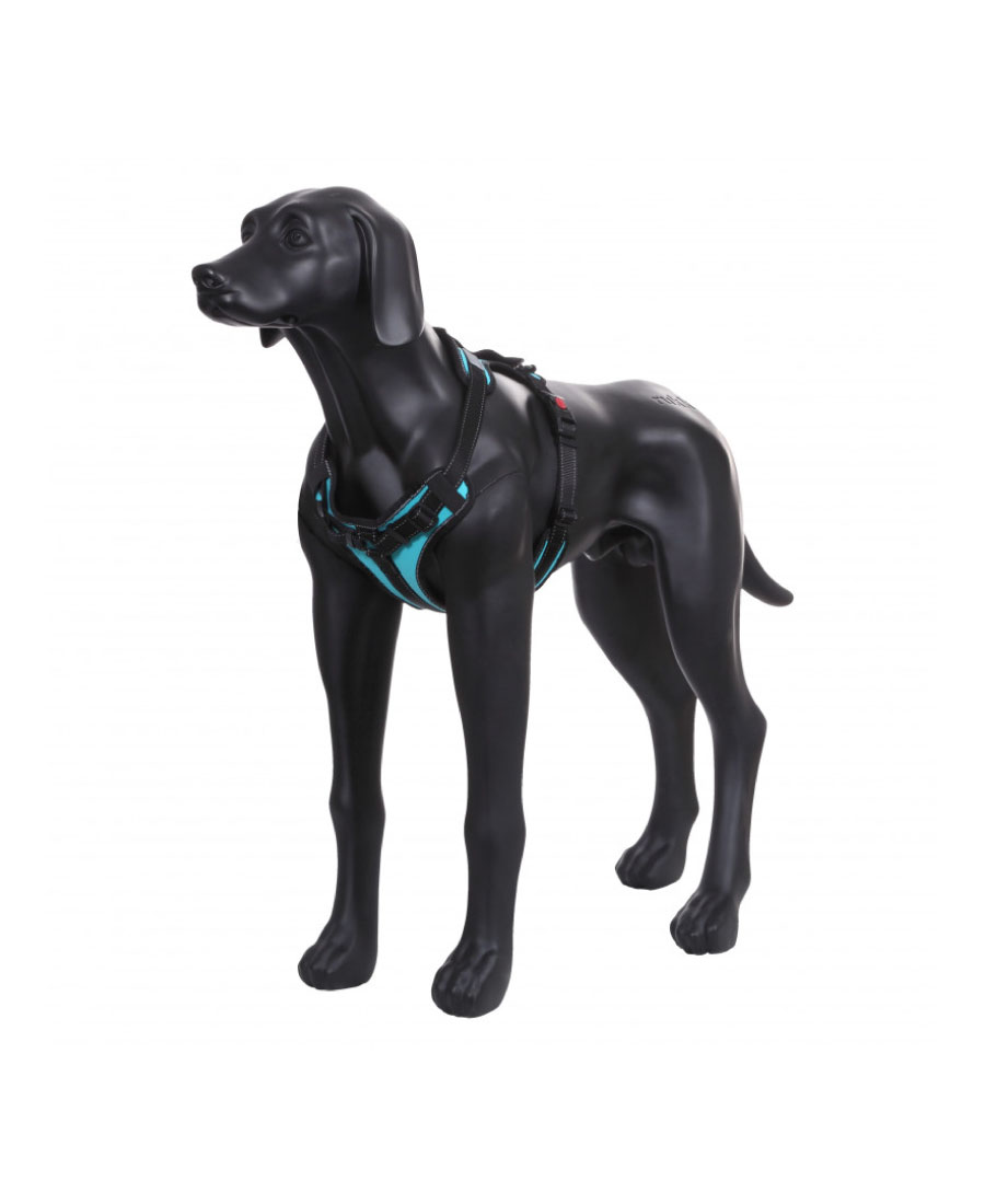 Rukka Pets Solid Hondentuig Turquoise