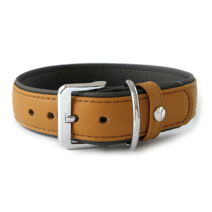 Das Lederband Amsterdam Halsband