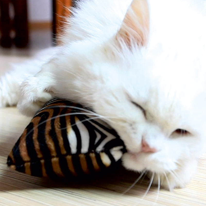4cats Wildlife knuffelrol met kat