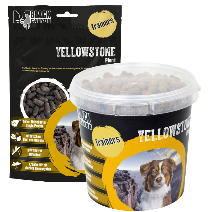 Black Canyon Trainers Yellowstone Paard Black Canyon Trainers Yellowstone Paard