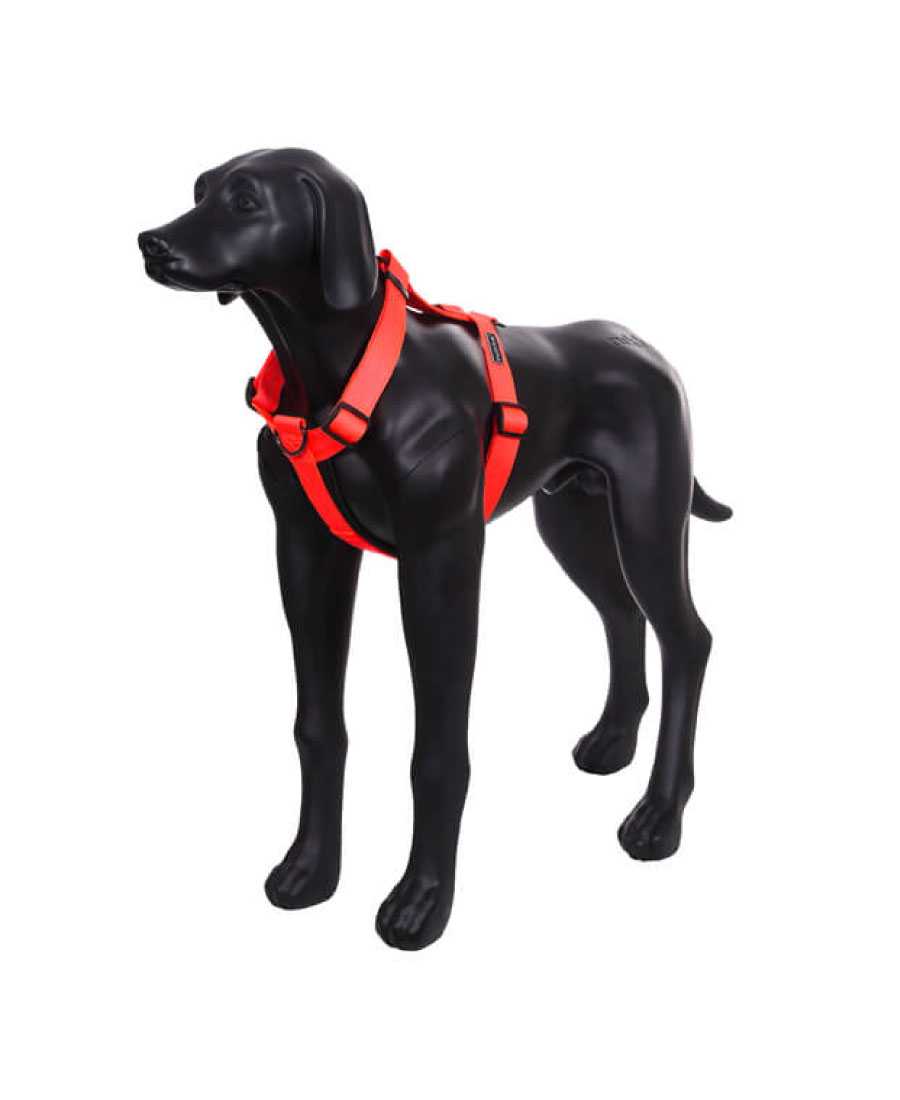 Rukka Pets Form Neon Tuig