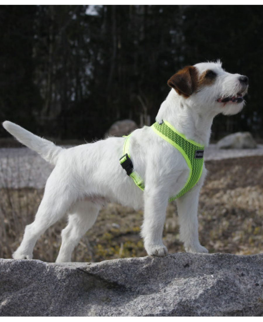 Rukka Pets Comfort Air Tuig Pink 