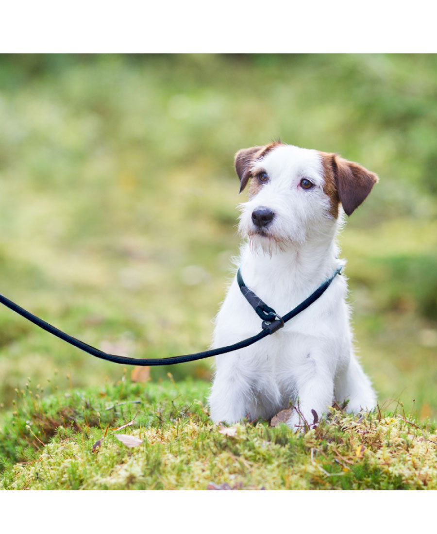 Rukka Pets Rope Retrieverlijn Zwart
