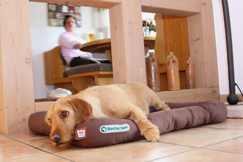 Doctor Bark hondenkussen bruin M1