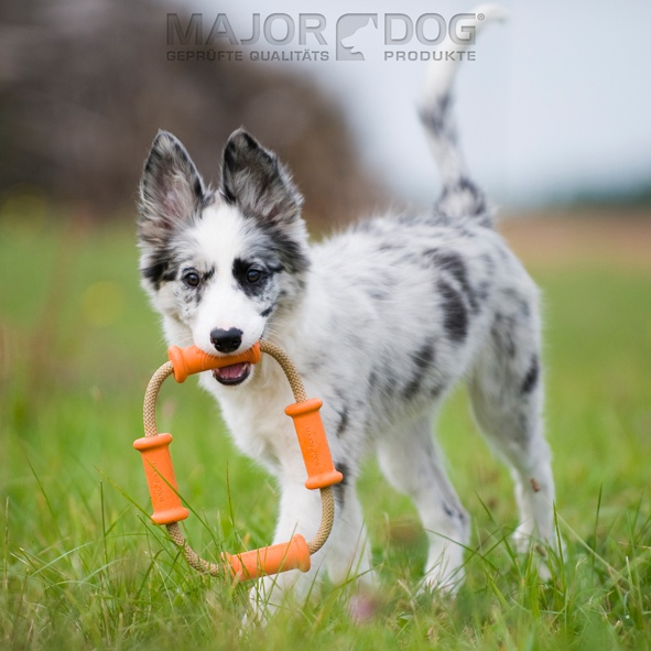 Major Dog Dummy Tussel Small