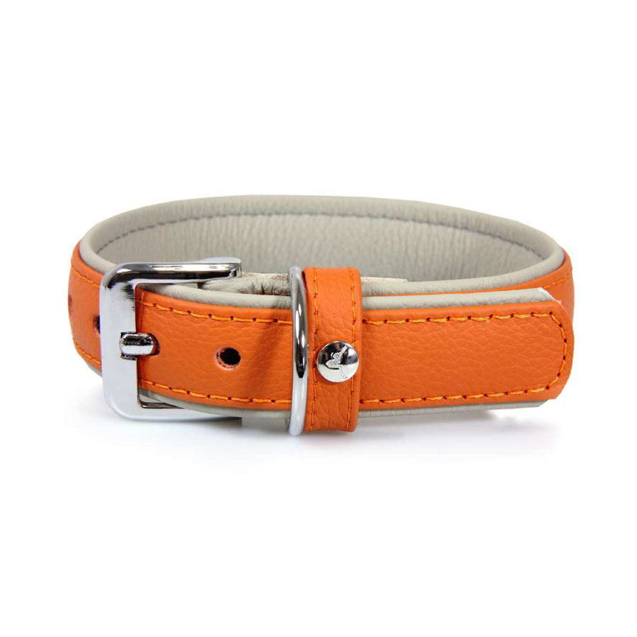 Orange / Grey