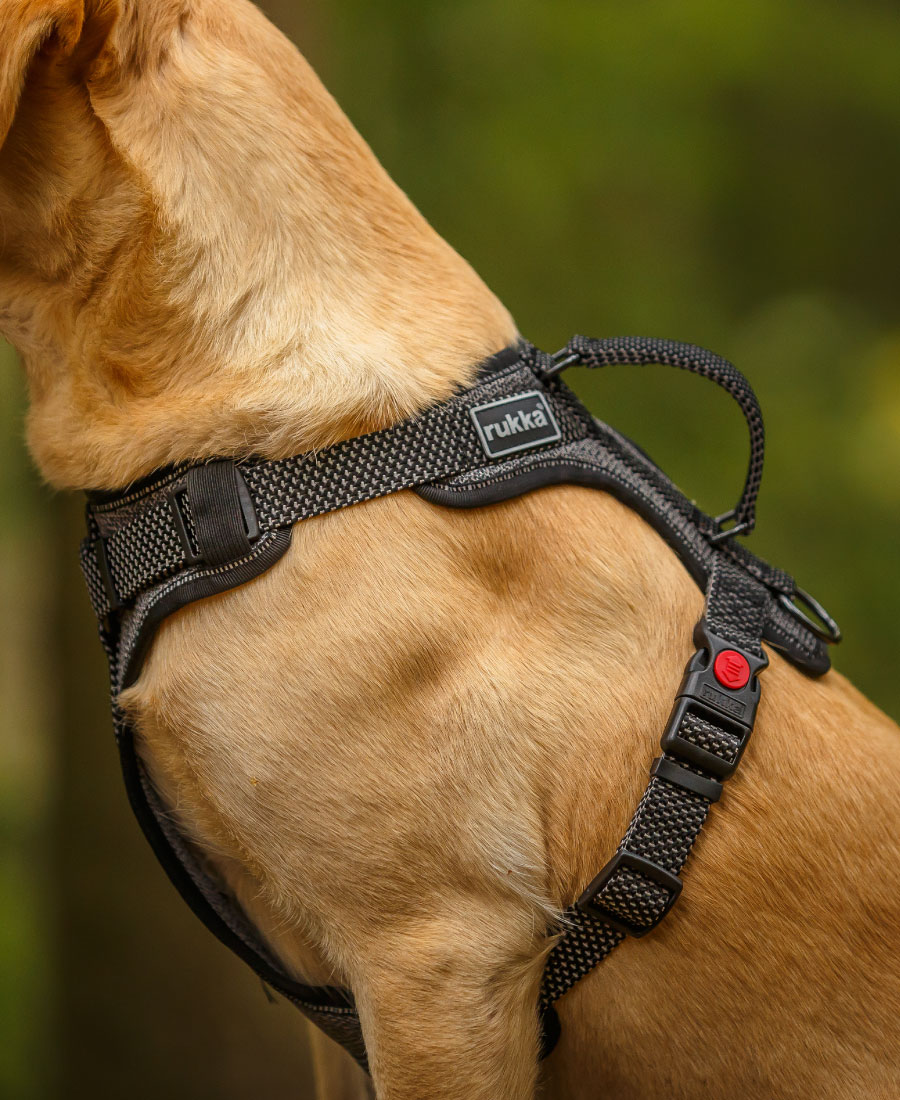 Rukka Pets Solid Hondentuig Zwart