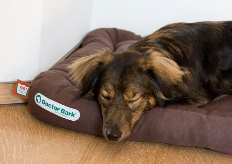 Doctor Bark hondenkussen bruin L1