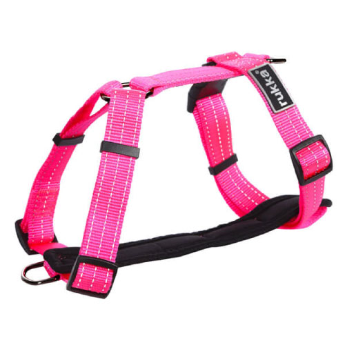 Neon Pink