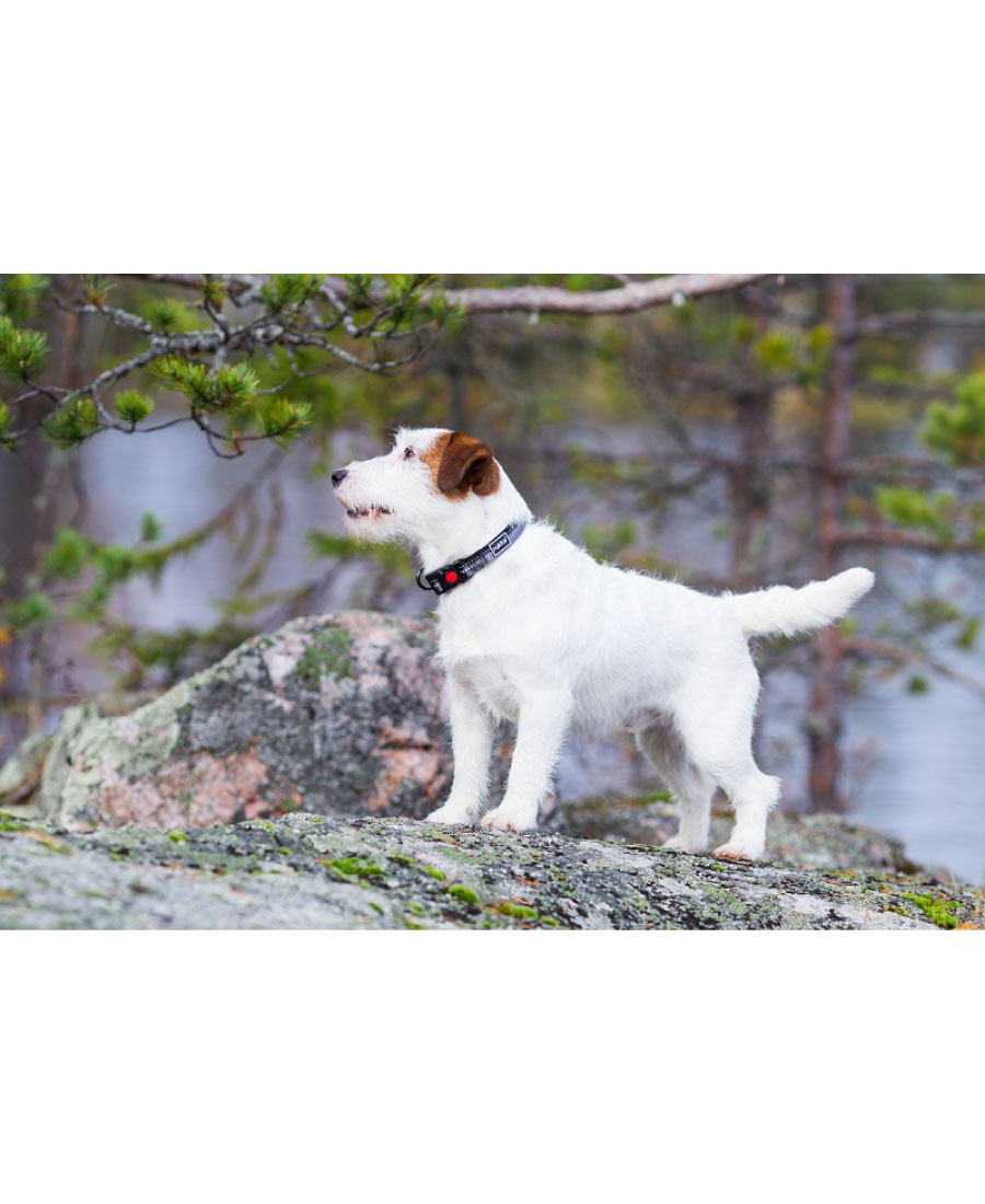 Rukka Pets Beam Halsband Bruin
