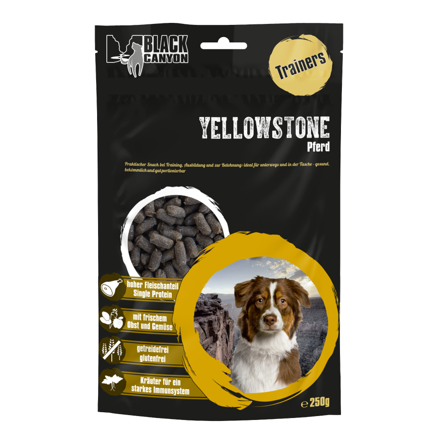 Black Canyon Trainers Yellowstone Paard Black Canyon Trainers Yellowstone Paard