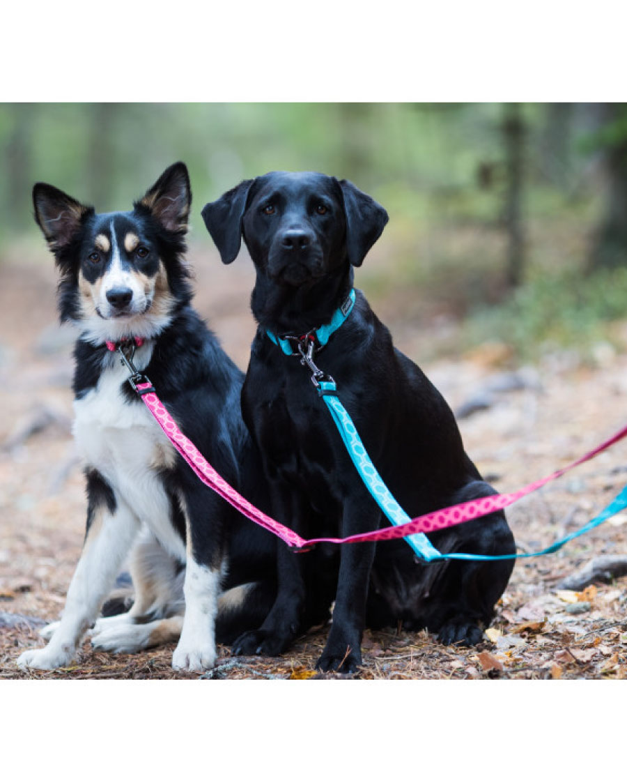 Rukka Pets Twist halsband Turquoise