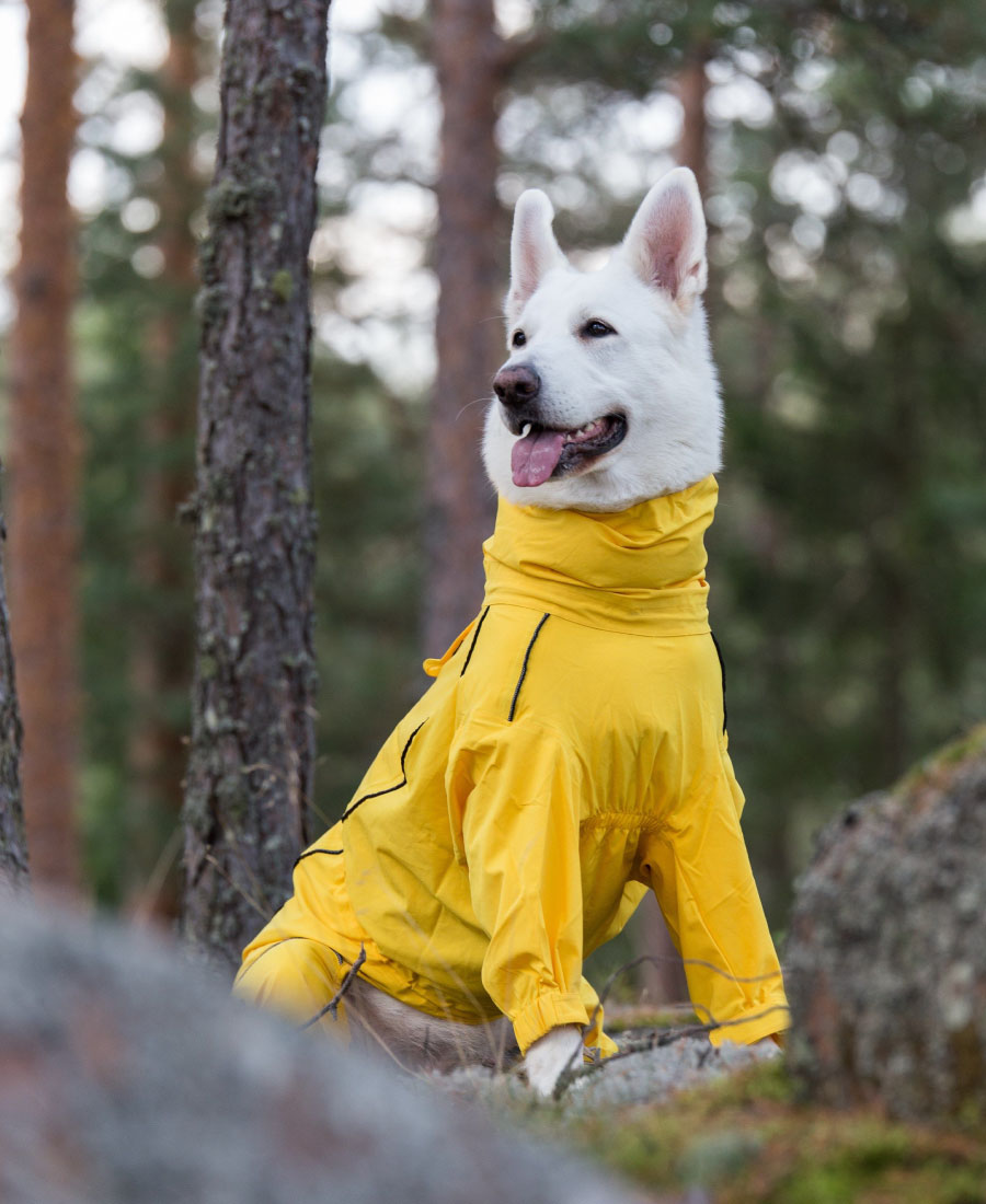 Rukka Pets Protect 2.0 Overall Zwart