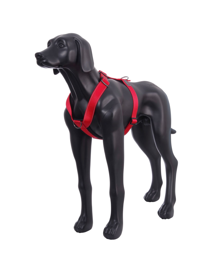 Rukka Pets Form Tuig Rood 