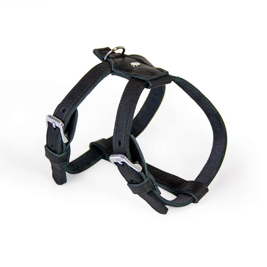 Das Lederband Weinheim Tuig Das Lederband Weinheim Tuig