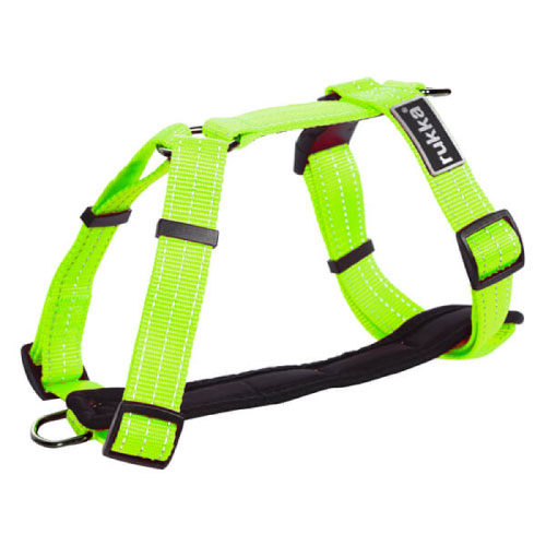 Neon Geel