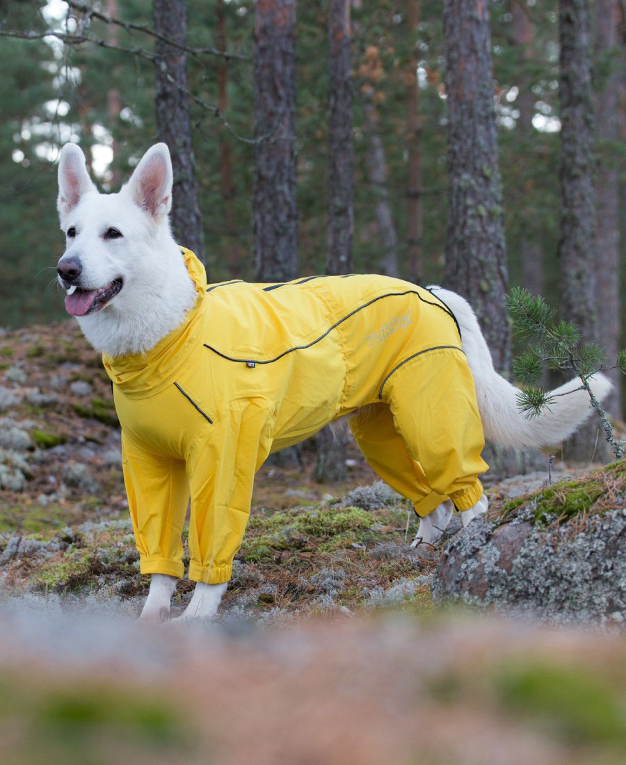 Rukka Pets Protect 2.0 Overall Zwart